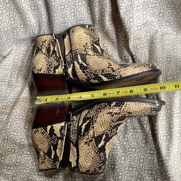 Sam Edelman ankle boots. Size 8.5. Moderate wear. Scuffs as shown. - Picture 3 of 8